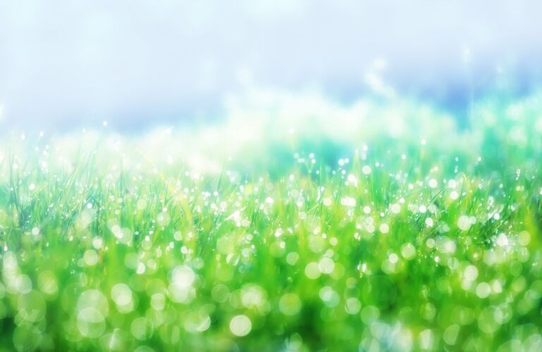 日々の生活や旅行の時短をしたいあなたへ